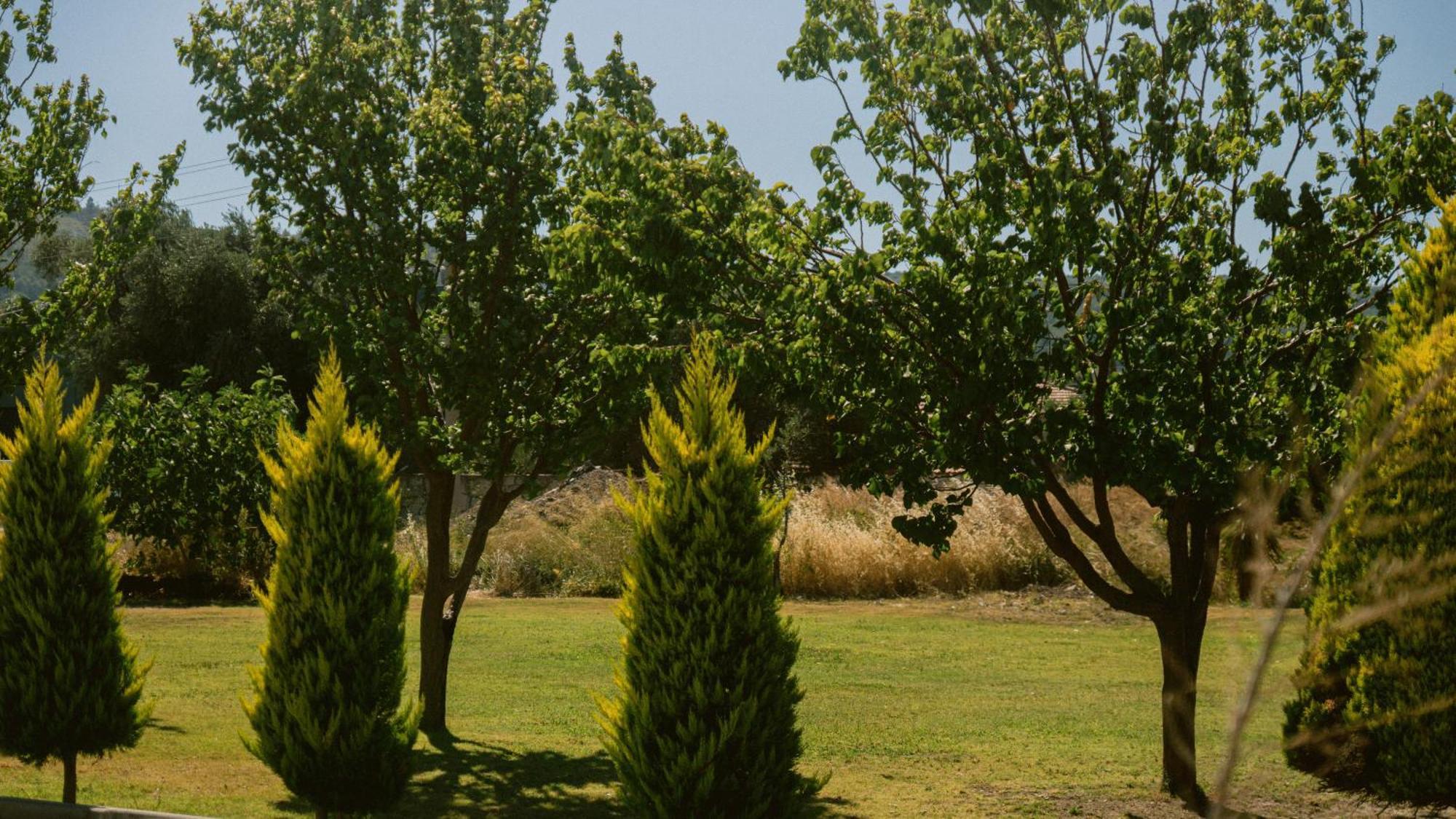 Vela Garden Resort Alaçatı Exterior foto
